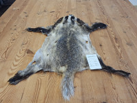 AD 6285 Jezevec - kvalita C