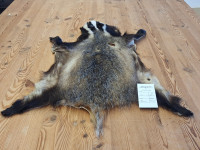 AD 6287 Jezevec - kvalita A