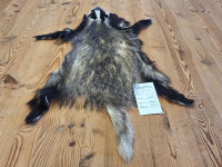 AD 6289 Jezevec - kvalita A