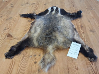 AD 6290 Jezevec - kvalita A