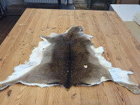 AD 6301 Daněk - kvalita A