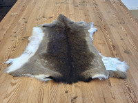 AD 6303 Daněk - kvalita A