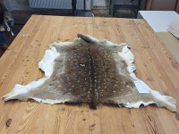 AD 6304 Daněk - kvalita A