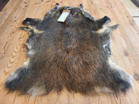 AD 6391 Prase divoké - KVALITA A