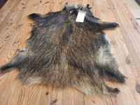 AD 6392 Prase divoké - KVALITA A