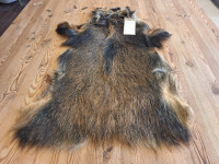 AD 6393 Prase divoké - KVALITA A