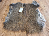 AD 6394 Prase divoké - KVALITA A