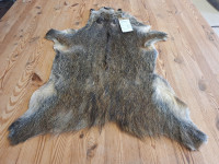 AD 6396 Prase divoké - KVALITA C