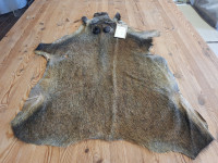 AD 6398 Prase divoké - KVALITA C