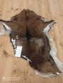AD 3248 Muflon